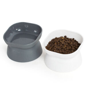 Raised Pet Feeding Bowl for Cats and Small Dogs